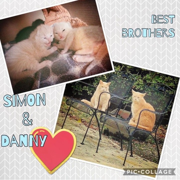 Meet your Posher, Ashley (Began 2022) - Picture 11 of 16